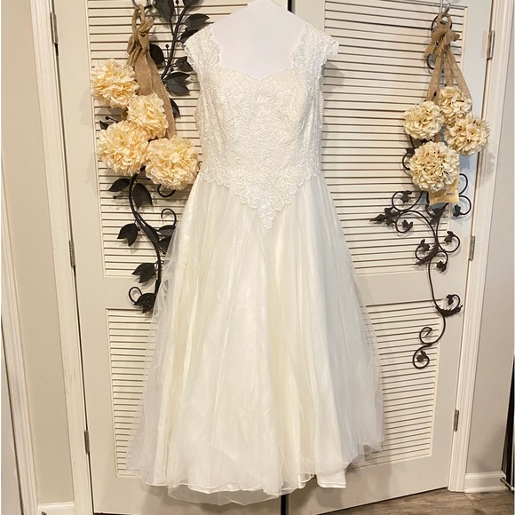 David’s Wedding Gown Plus Size - Picture 14 of 16